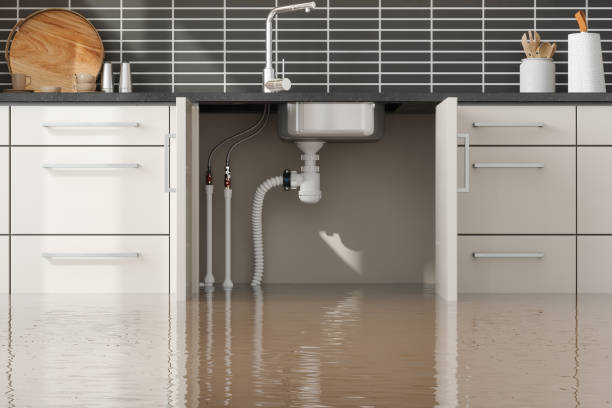 Trusted Bethel Park, PA Water damage restoration Experts